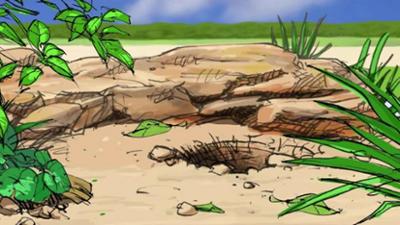 Giraffe, Erdmännchen & Co.: In der Ruhe liegt die Kraft (52)