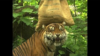 Giraffe, Erdmännchen & Co.: Abwechslung für Malea und Iban (13)