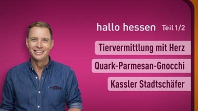 hallo hessen