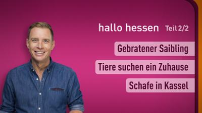 hallo hessen