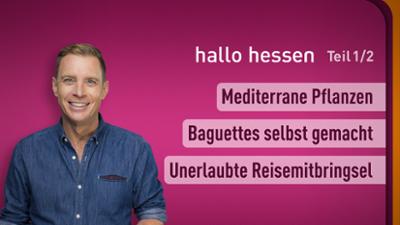 hallo hessen