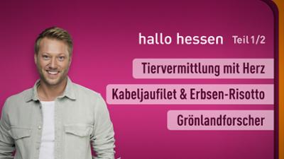 hallo hessen