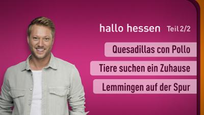 hallo hessen