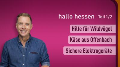 hallo hessen
