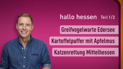 hallo hessen