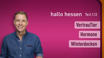 hallo hessen