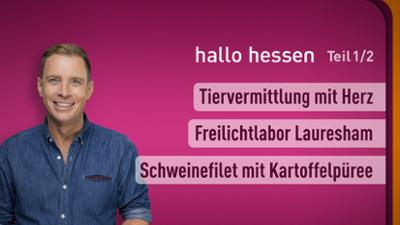 hallo hessen