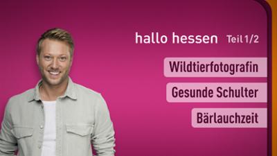 hallo hessen