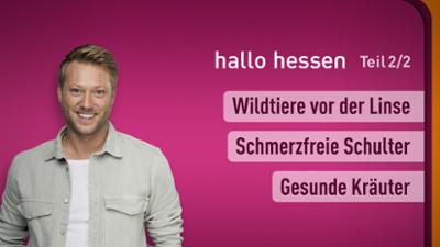 hallo hessen