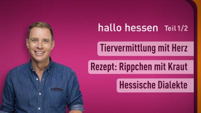 hallo hessen