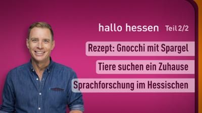 hallo hessen