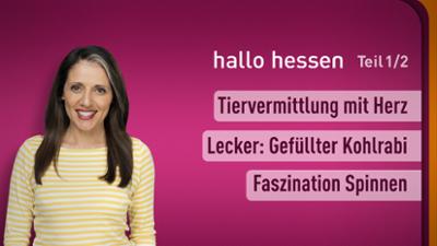 hallo hessen hallo hessen