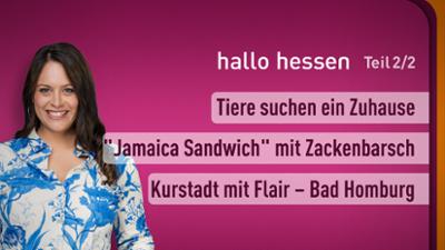 hallo hessen