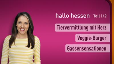 hallo hessen