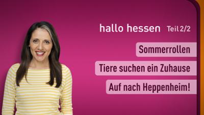 hallo hessen