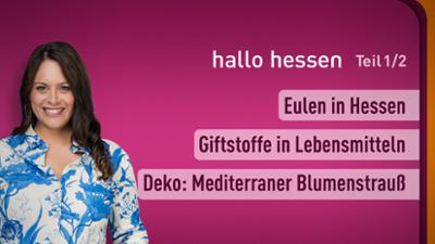 hallo hessen