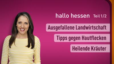 hallo hessen hallo hessen