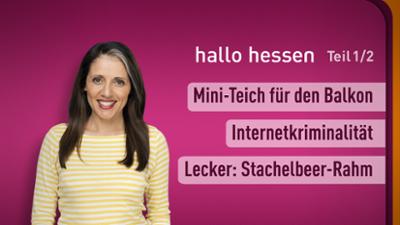 hallo hessen