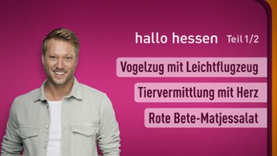 hallo hessen
