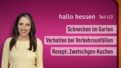 hallo hessen