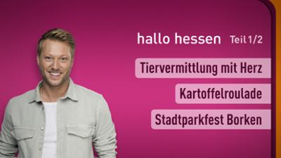 hallo hessen