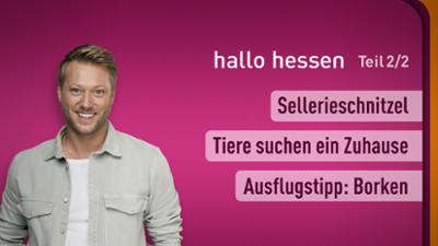hallo hessen