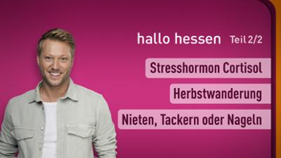 hallo hessen