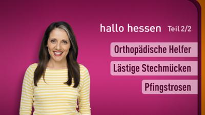 hallo hessen