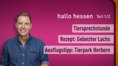 hallo hessen