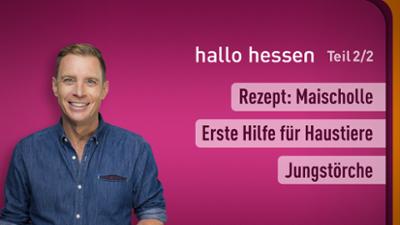 hallo hessen