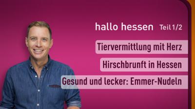 hallo hessen