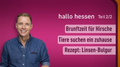 hallo hessen