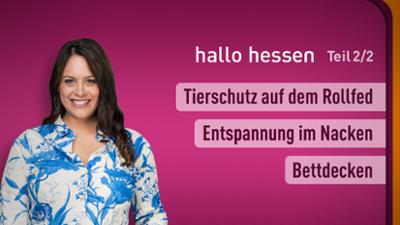 hallo hessen