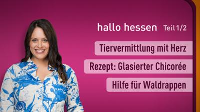 hallo hessen
