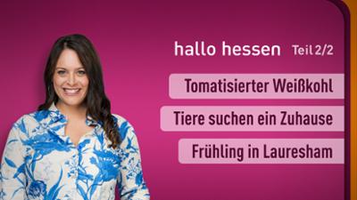 hallo hessen