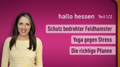 hallo hessen