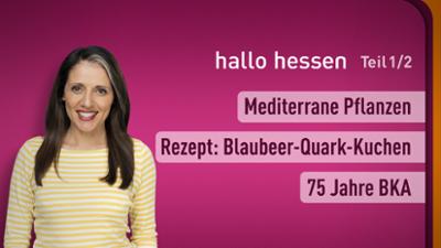 hallo hessen