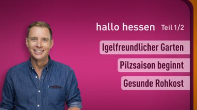 hallo hessen