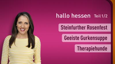 hallo hessen