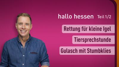 hallo hessen