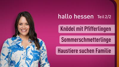 hallo hessen