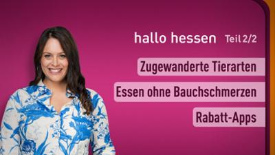hallo hessen