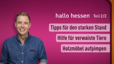 hallo hessen