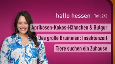 hallo hessen