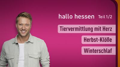 hallo hessen