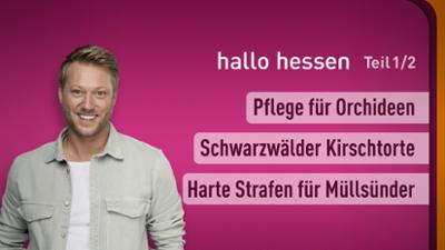 hallo hessen