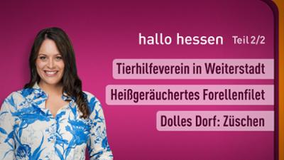 hallo hessen