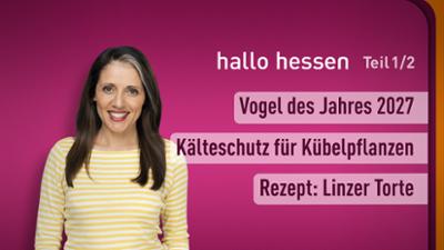 hallo hessen