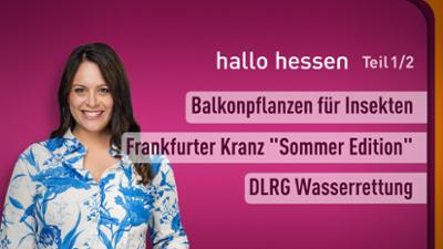 hallo hessen
