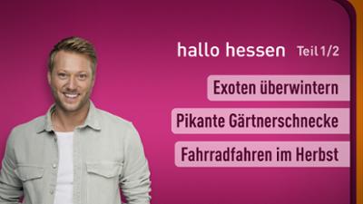 hallo hessen